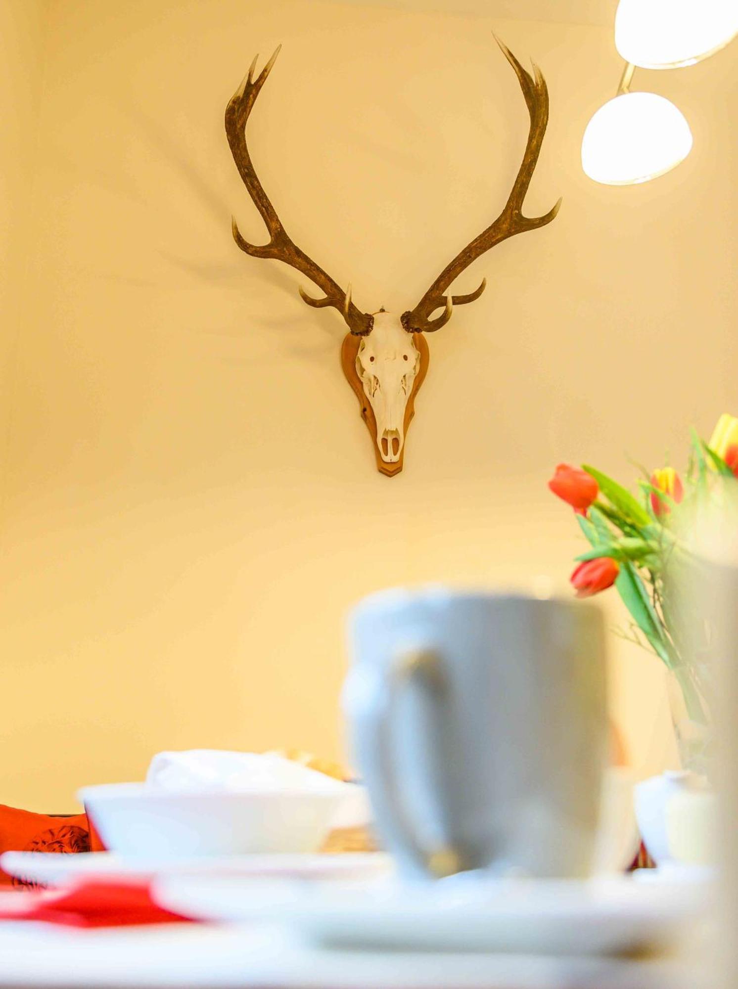 Appartement Waldhof フラタッハ エクステリア 写真