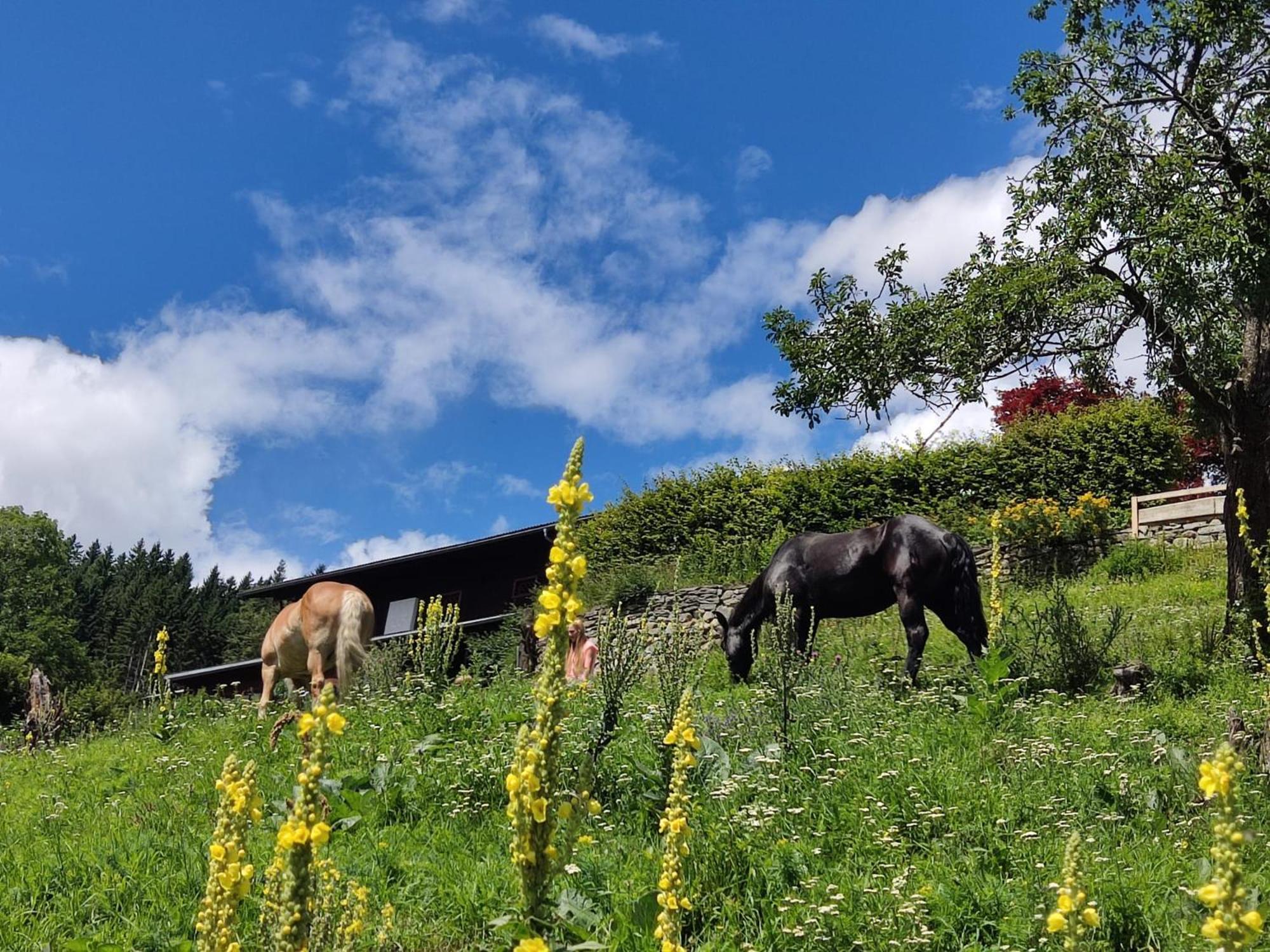Appartement Waldhof フラタッハ エクステリア 写真