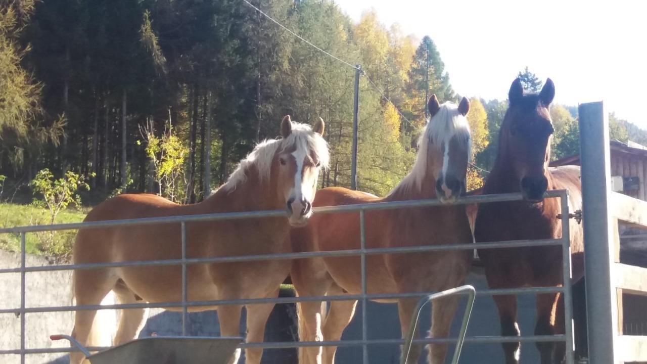 Appartement Waldhof フラタッハ エクステリア 写真